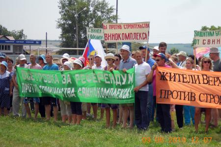 Воронежская область. Против «свинства» агрохолдингов