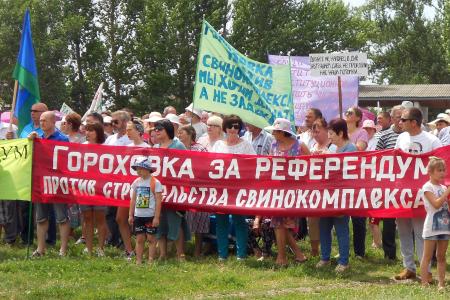 Воронежская область. Против «свинства» агрохолдингов