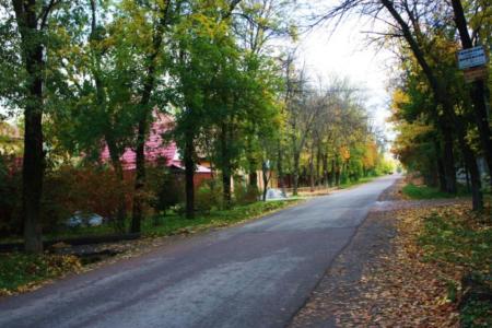 Москва. Денис Парфенов встретился с представителями жителей дачно-строительного кооператива им. Ларина