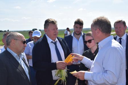 В битве за урожай: Владимир Кашин посетил подмосковный городской округ Луховицы