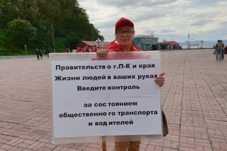 Коммунисты Камчатки вышли на пикеты под лозунгом «За честные и чистые выборы! За достойную жизнь жителей Камчатки!»