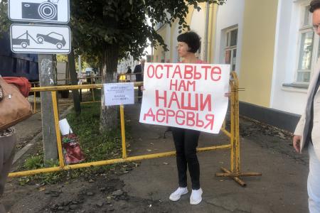 Костромские коммунисты поддержали протест граждан против вырубки вековых лип