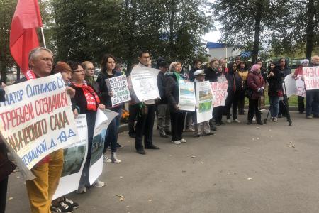Костромские коммунисты поддержали протест граждан против вырубки вековых лип