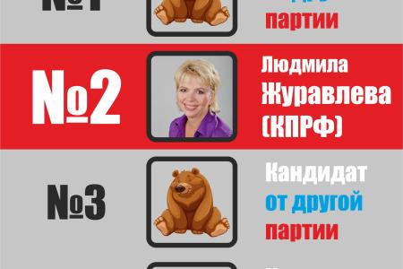 Ямало-Ненецкий автономный округ. Лидер салехардских коммунистов Людмила Журавлева провела одиночный пикет за честные выборы