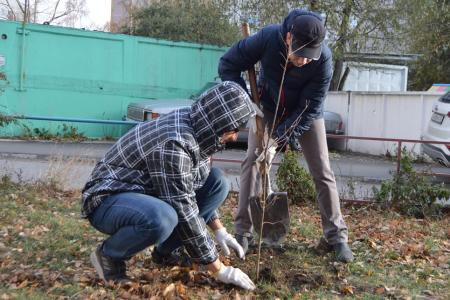 Алтайский край. Барнаульские коммунисты и комсомольцы присоединились к акции «Сад Победы»