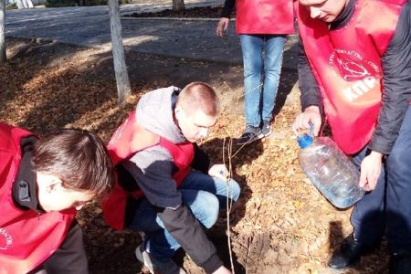 В Саратове прошла акция «Сад Победы - Сад Жизни»