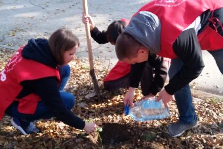 В Саратове прошла акция «Сад Победы - Сад Жизни»
