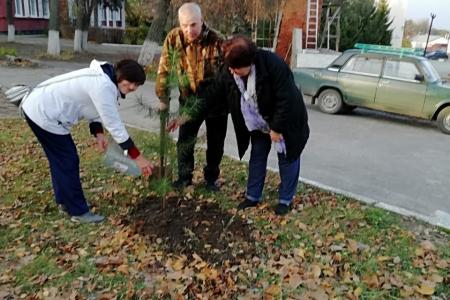Рязанская область. Ещё два района присоединились к акции «Сад Победы – Сад Жизни»