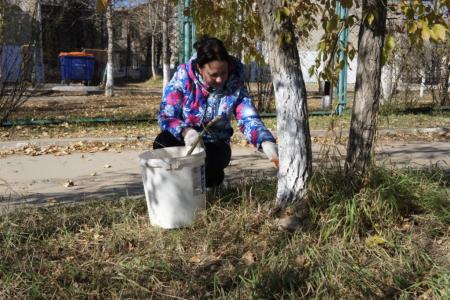 Забайкальский край. Коммунисты организовали субботник во дворах в городе Чите