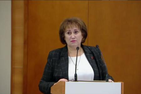 Гражданская авиация идёт на посадку. Круглый стол в Госдуме