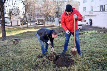 В Туле продолжается акция «Сад Победы - Сад Жизни»