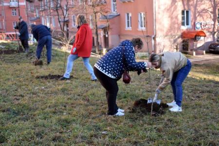 В Туле продолжается акция «Сад Победы - Сад Жизни»