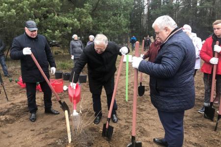 В рамках СКП-КПСС в Беларуси стартовала Международная акция «Сад Победы – Сад Жизни»
