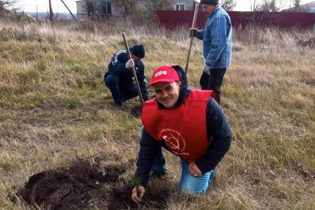 Саратовская область (р.п. Романовка). "Сад Победы – Сад Жизни"