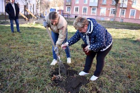 В Туле продолжается акция «Сад Победы - Сад Жизни»