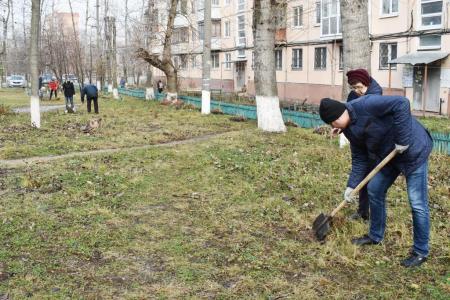 ​В Туле стартовала акция «Сад Победы - Сад Жизни»