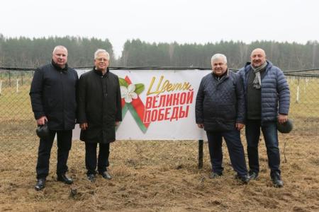 В рамках СКП-КПСС в Беларуси стартовала Международная акция «Сад Победы – Сад Жизни»