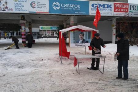 Пикеты в поддержку Грудинина и Левченко продолжаются по всей Новосибирской области