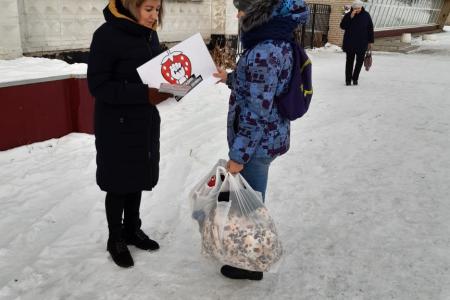 В Новосибирской области продолжаются акции в поддержку Грудинина 