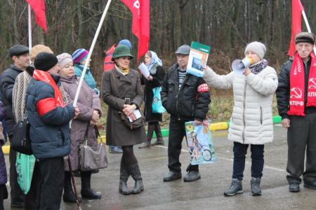 Тульская область. В Ефремове прошел митинг против «мусорной реформы»