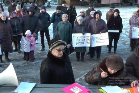 Ярославцы против строительства ЦБК на Волге