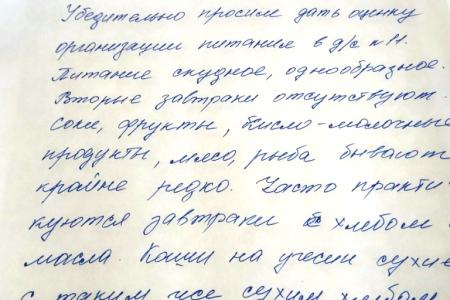 Саратовская область. Родители вольских дошколят пожаловались на плохое питание в детском саду