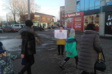 В Тульской области в предверии Дня Советской Армии и Военно-Морского Флота прошли пикеты