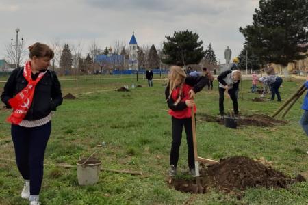 Краснодарский край. КПРФ проводит акцию «Сад памяти – сад жизни»