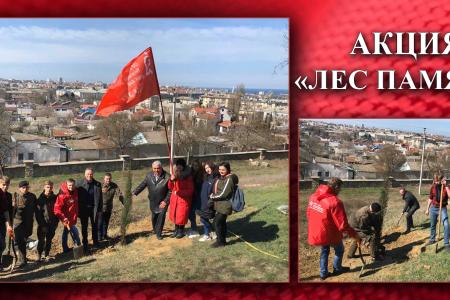 В Севастополе высадили «Лес Памяти»