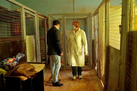 Владимирская область. Коммунисты помогли приюту для животных «Валента»