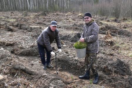 Московская область. «Русскому лесу» быть!