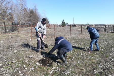 Воронежская область. 100 акаций в честь юбилея Победы