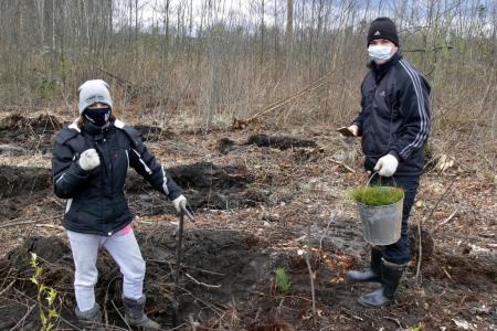 Московская область. «Русскому лесу» быть!