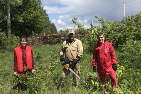 В Белгородском районе коммунисты не позволили единороссам вырубить многолетнюю берёзовую аллею