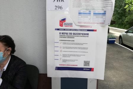 Ольга Алимова: Балаган под названием "референдум"