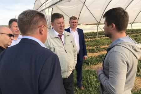 Московская область. Владимир Кашин осмотрел ход уборочной кампании в ведущих аграрных округах Подмосковья
