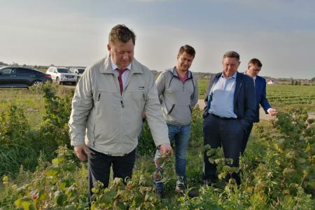 Московская область. Владимир Кашин осмотрел ход уборочной кампании в ведущих аграрных округах Подмосковья