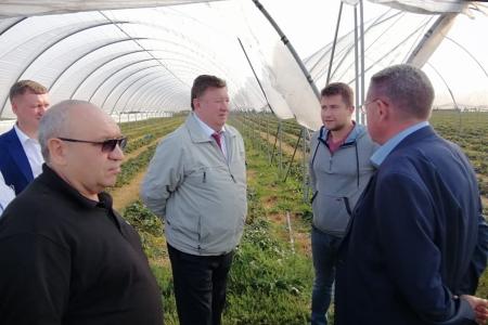 Московская область. Владимир Кашин осмотрел ход уборочной кампании в ведущих аграрных округах Подмосковья