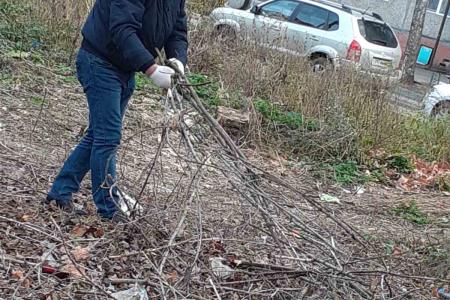 Нижегородские коммунисты и комсомольцы провели субботник в день 102-й годовщины образования Ленинского Комсомола