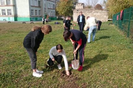 Акция «Сад памяти-сад жизни» продолжается