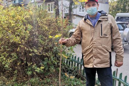 Тульские коммунисты продолжают посадку деревьев в регионе в рамках акции «Сад Победы - Сад Жизни»
