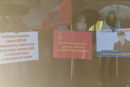 За детей войны! Пикеты активистов Хабаровского отделения ВЖС «Надежда России»