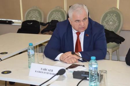 Казбек Тайсаев принимает участие в мониторинге второго тура выборов президента Молдовы