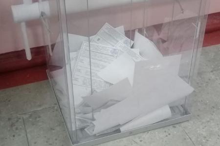 Выборы 2020. Жуковка, Брянская область. За ширмой избирательного процесса