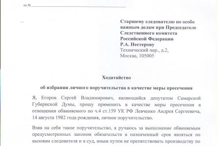 Депутаты Самарской области написали ходатайство о поручительстве в Следственный Комитет России за Андрея Левченко