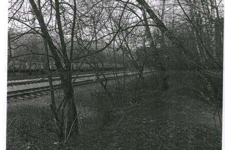 Москва. В.Ф. Рашкин добился от мэрии Москвы строительства безопасного пешеходного перехода в Бирюлевском дендропарке.