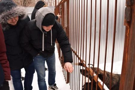 Самарские комсомольцы помогают приюту для животных
