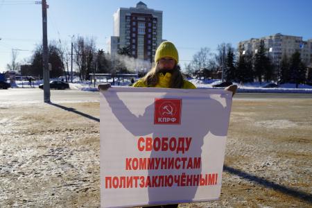 Владимирская область. Протестная акция 23 февраля