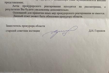 Мэрия Владимира живет в «параллельной реальности»