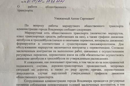 Мэрия Владимира живет в «параллельной реальности»